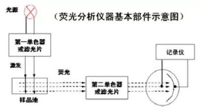 熒光光譜儀組成示意圖